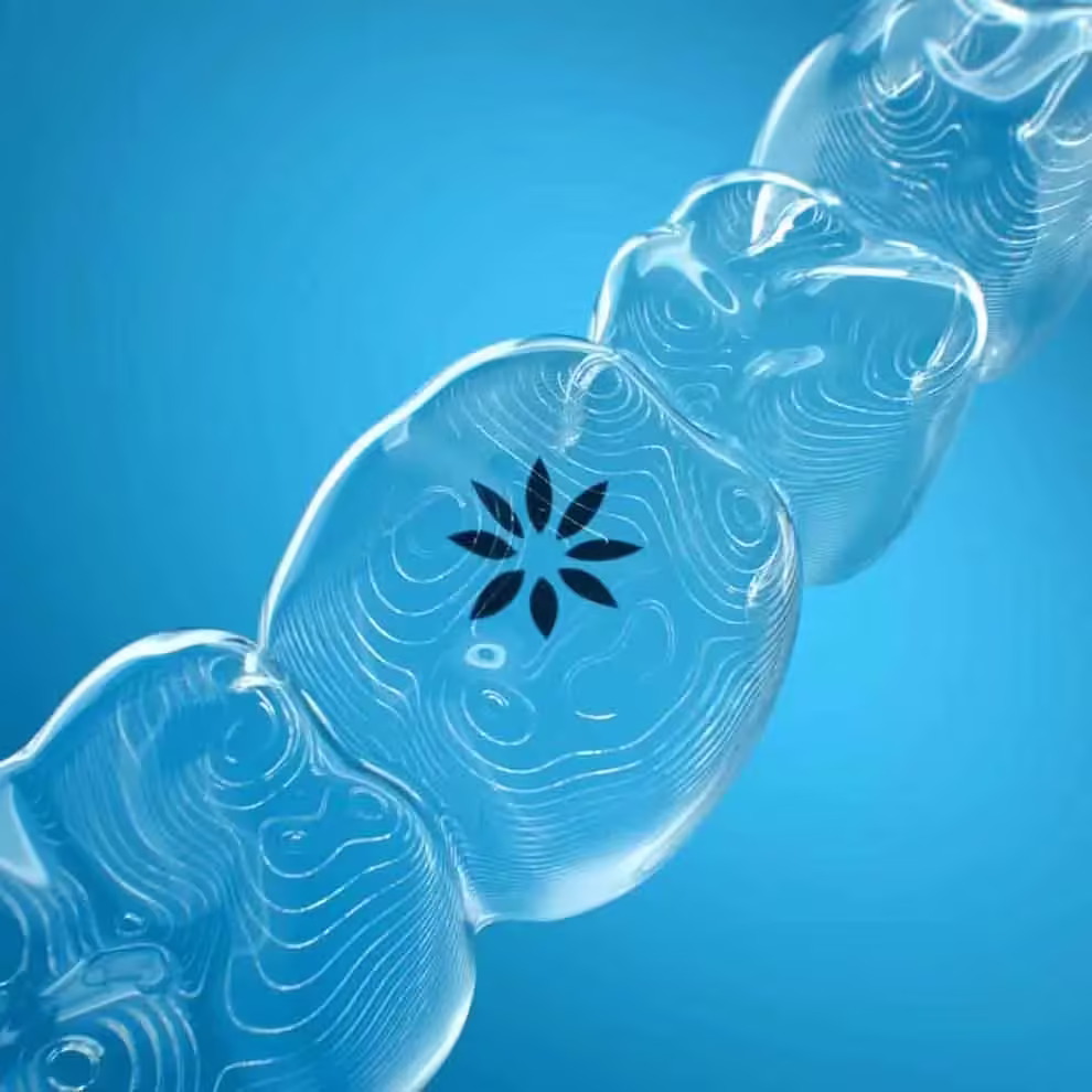 Predvajaj videoposnetek